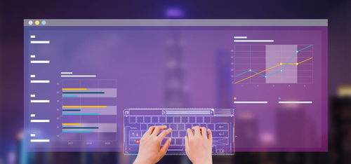 2021年字庫軟件與技術(shù)服務(wù)項(xiàng)目投資分析報告