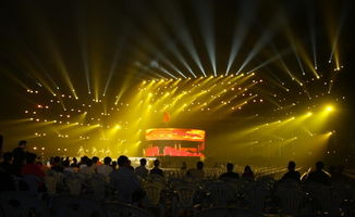 視覺(jué)設(shè)計(jì)機(jī)構(gòu)甄選指南 賦能文化藝術(shù)交流與策劃